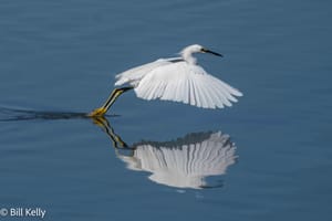 Palo Alto Baylands 2017-2024