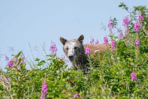 Circumnavigation of the Bering Sea - 2019: Part 1 - Alaska